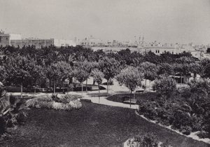 Cadiz: Parque Genoves (zw/w foto) door Spanish Photographer