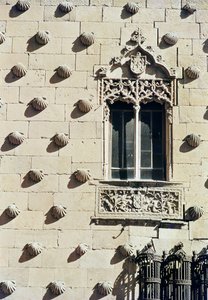 Detail van de buitenkant van de Casa de la Conchas door Spanish School