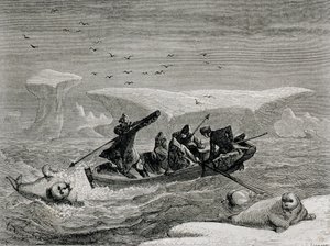 Walrusjacht met harpoenen op de Spitsbergen-eilanden, Svalbard-archipel, illustratie uit 
