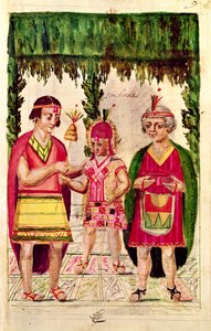 Illustratie van Cincheroca, uit 