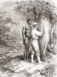 Jules Crevaux, tijdens zijn verkenning van Frans-Guyana in 1878, zijn initialen kerend in een boom aan de oevers van de Oyapock of Oiapoque rivier