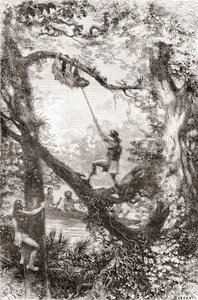 Inheemse Indianen vangen een luiaard aan de Oyapock of Oiapoque rivier, Zuid-Amerika door Spanish School
