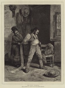 De Stierenvechter