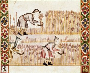 De boer oogst tarwe. Detail. (miniatuur)