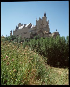Uitzicht op het alcazar door Spanish School