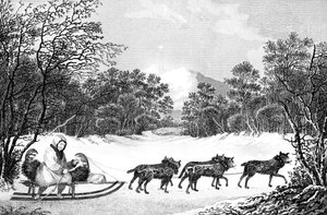 De manier van reizen in de winter in Kamtsjatka