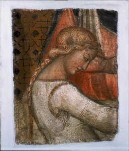 Salome