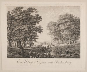 Een uitzicht in de omgeving van Fredensborg