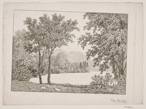 Landschap met meer