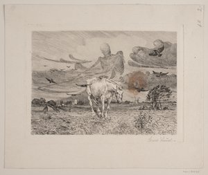 Het oude paard en de dood door Søren Lund