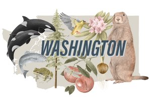 Symbolen van de staat Washington