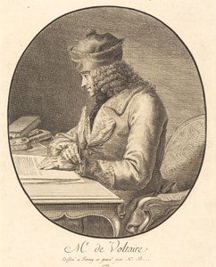 Mr. de Voltaire door Stanislas Jean de Boufflers