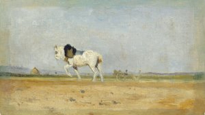 Een ploegpaard in een veld