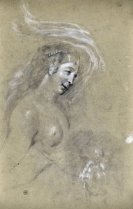 Studie van profiel van vrouw