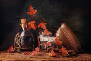 Vintage herfststilleven door Stanislav Aristov