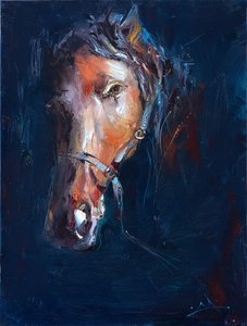 Portret van een dark horse