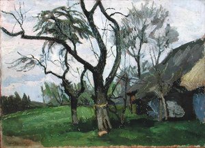 Landschap van Wola Radziszowska
