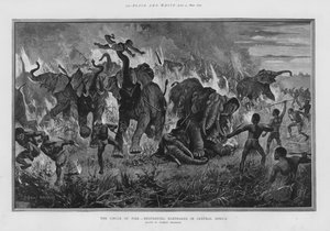 De cirkel van vuur - vernietiging van olifanten in Centraal-Afrika (litho)