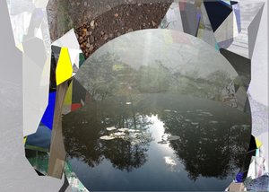 Abstracte weerspiegeling in een vijver door Stefan Fransson
