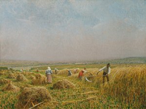 Maaier door Stefan Simony