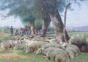 Schapen in rust, c.1900