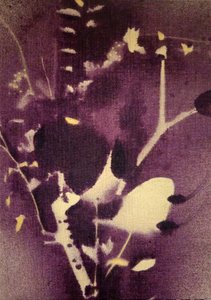 Dieppaarse botanische motieven door Stefano Mazzolini