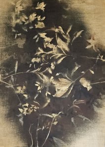Sfeervolle florale schaduwen door Stefano Mazzolini