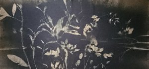 Bloei in de schaduwtuin