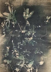 Vintage botanische schaduwen