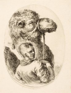 Jongen die een kameel bij het hoofdstel houdt, uit Plusieurs Têtes Coiffées à la Persienne, pub. c. 1650 door Stefano della Bella