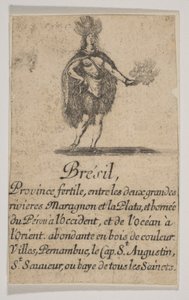 Brazilië, 1644 door Stefano della Bella