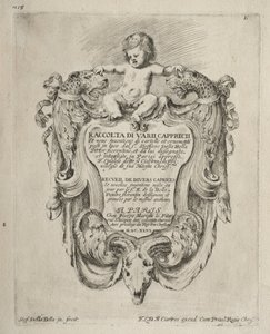Collectie van verschillende caprices en nieuwe ontwerpen van cartouches en ornamenten