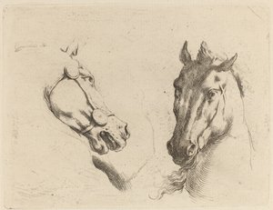 Hoofd van een paard gezien in profiel en in driekwart door Stefano della Bella