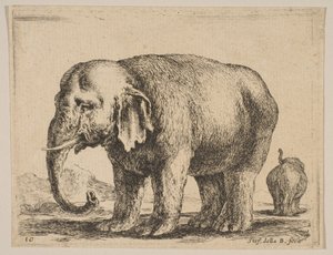 Blad 10: olifant, uit Diverse dieren Diversi animali, ca. 1641 door Stefano della Bella