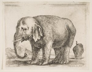 Plaat 10: olifant, uit Diverse dieren Diversi animali, ca. 1641 door Stefano della Bella