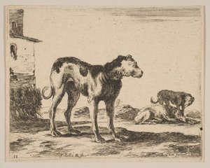 Plaat 11: honden, uit Diverse dieren Diversi animali, ca. 1641 door Stefano della Bella