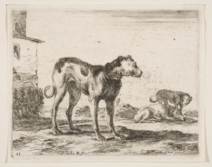 Plaat 11: honden, uit Diverse dieren, ca. 1641 door Stefano della Bella