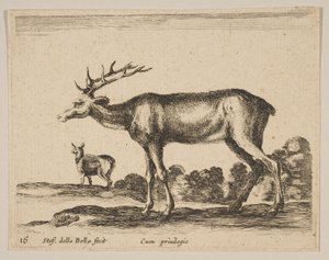 Hert, uit Diverse dieren