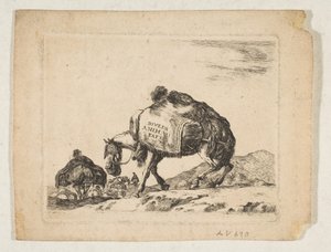 Plaat 1: een pakpaard, uit 