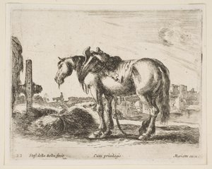 Plaat 22: trekpaard, uit Diverse dieren Diversi animali, ca. 1641