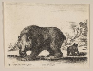 Plaat 4: beer, uit 