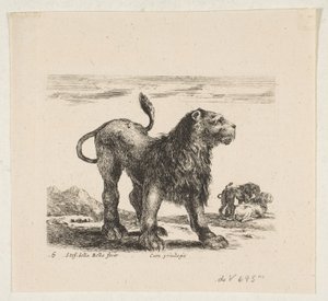 Plaat 6: leeuw, uit 