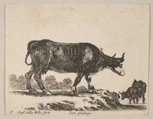 Plaat 7: koe, uit Diverse dieren, ca. 1641 door Stefano della Bella