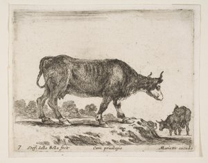 Plaat 7: os, uit Diverse dieren Diversi animali, ca. 1641 door Stefano della Bella