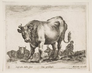 Plaat 8: koe, uit Diverse dieren Diversi animali, ca. 1641 door Stefano della Bella