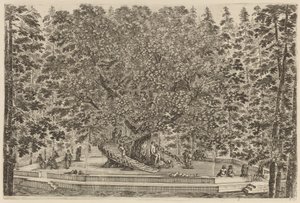 De bewoonde boom, waarschijnlijk 1653