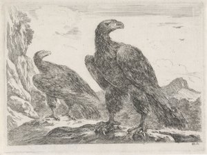 Twee adelaars met koppen naar rechts Adelaars door Stefano della Bella