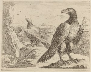 Twee adelaars, beide met hoofden naar links gedraaid door Stefano della Bella