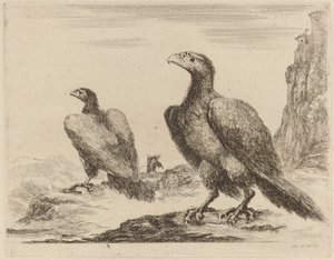 Twee adelaars, beide met hoofden naar links gedraaid, op een hoge klif door Stefano della Bella