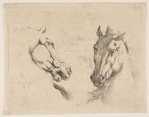 Twee paardenhoofden door Stefano della Bella